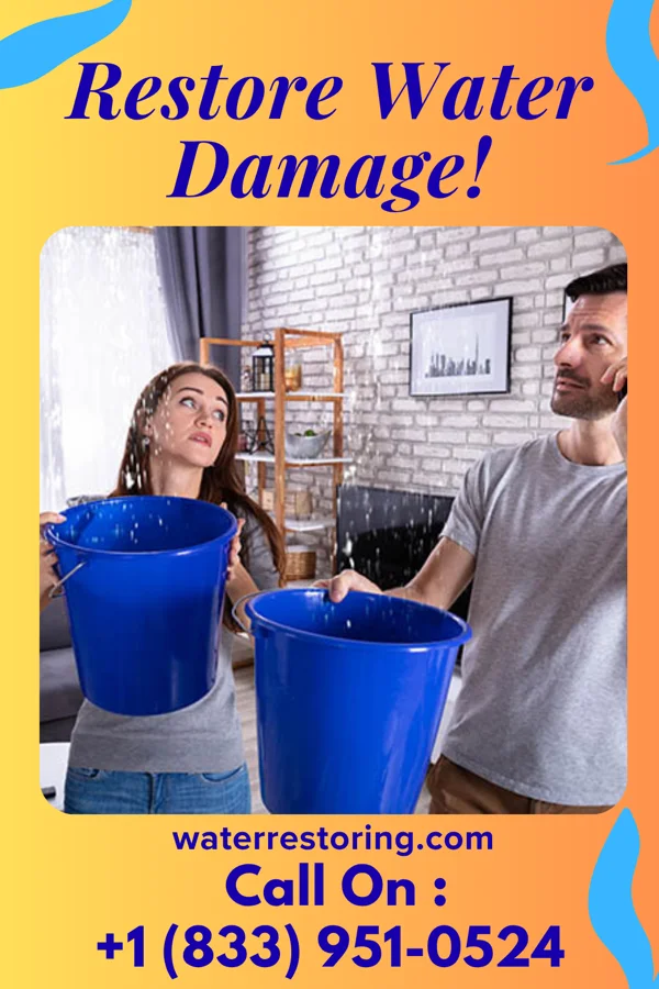 water restoration Universal Water Removal Pros Solomon